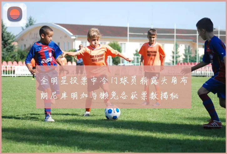 全明星投票中冷门球员崭露头角布朗尼库明加与獭兔各获票数揭秘